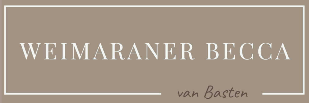 About a Weimaraner named Becca